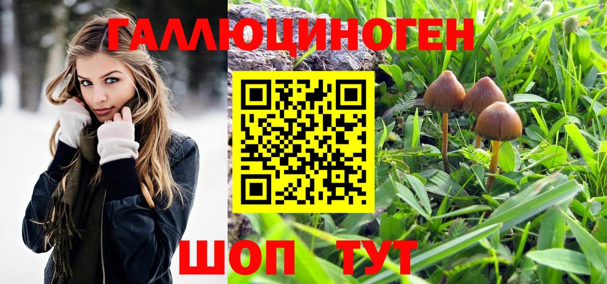 Галлюциногенные грибы MAGIC MUSHROOMS Одинцово