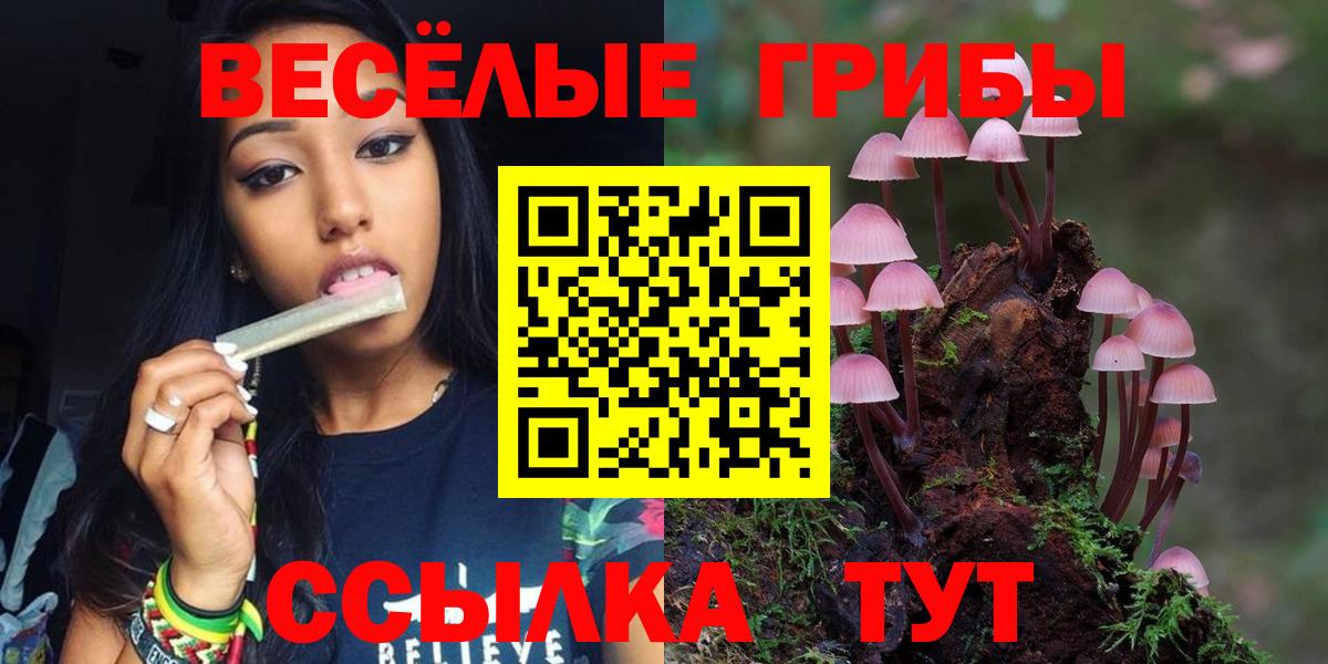 Псилоцибиновые грибы MAGIC MUSHROOMS  даркнет сайт  Вход с VPN  Одинцово  Галлюциногенные грибы Magic Shrooms 